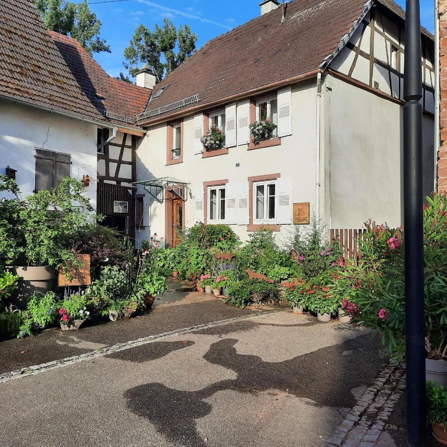 Maison d'hôtes La Renardière Reichshoffen Esterno foto