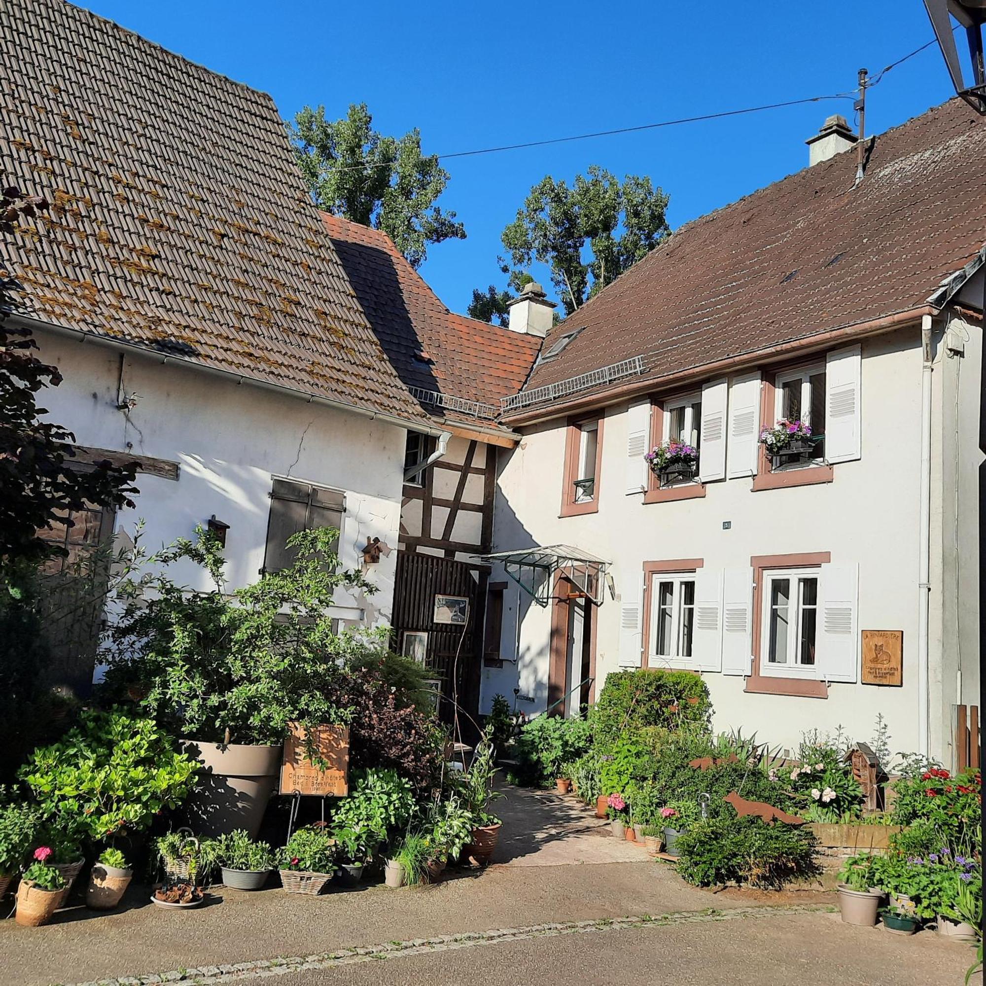 Maison d'hôtes La Renardière Reichshoffen Esterno foto