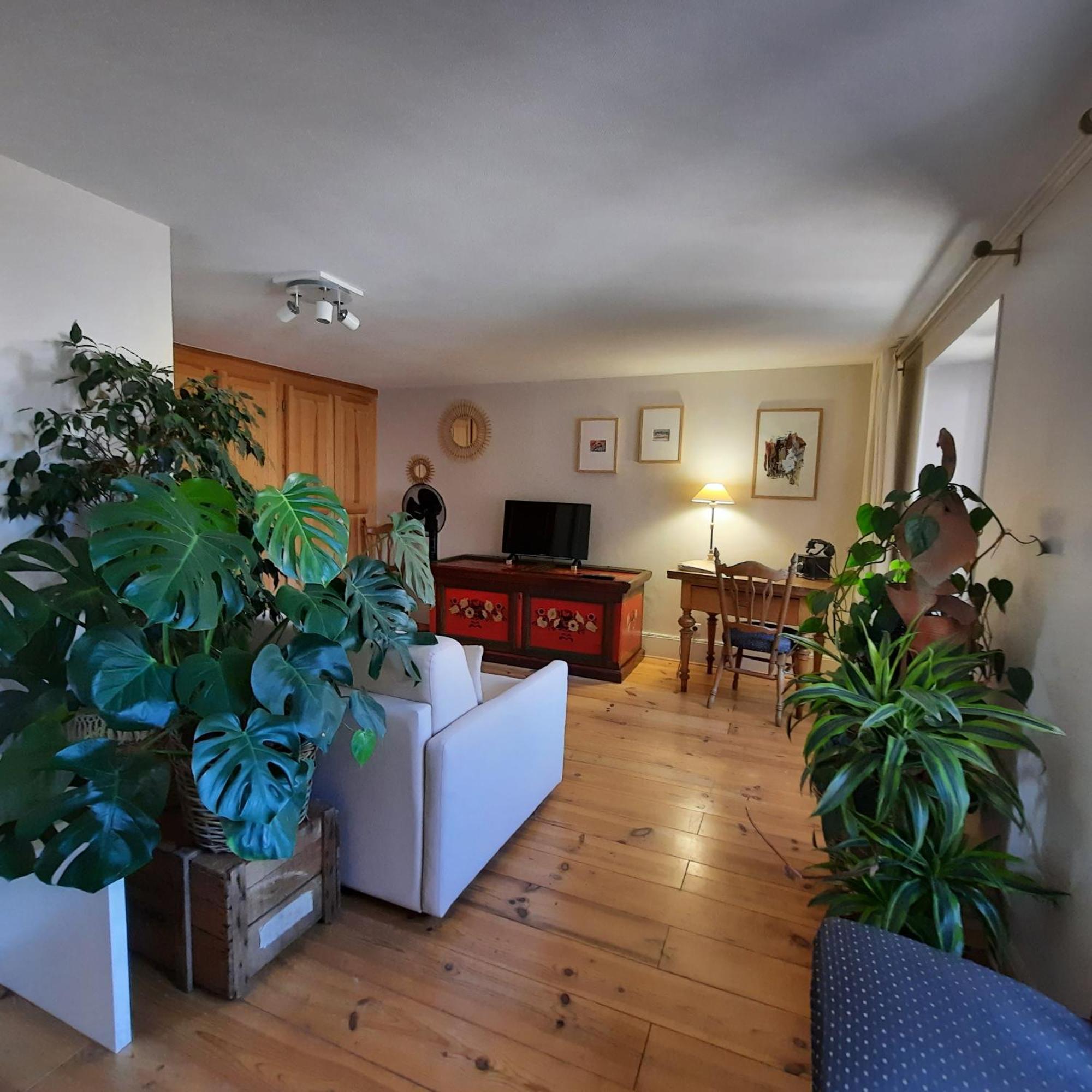 Maison d'hôtes La Renardière Reichshoffen Esterno foto