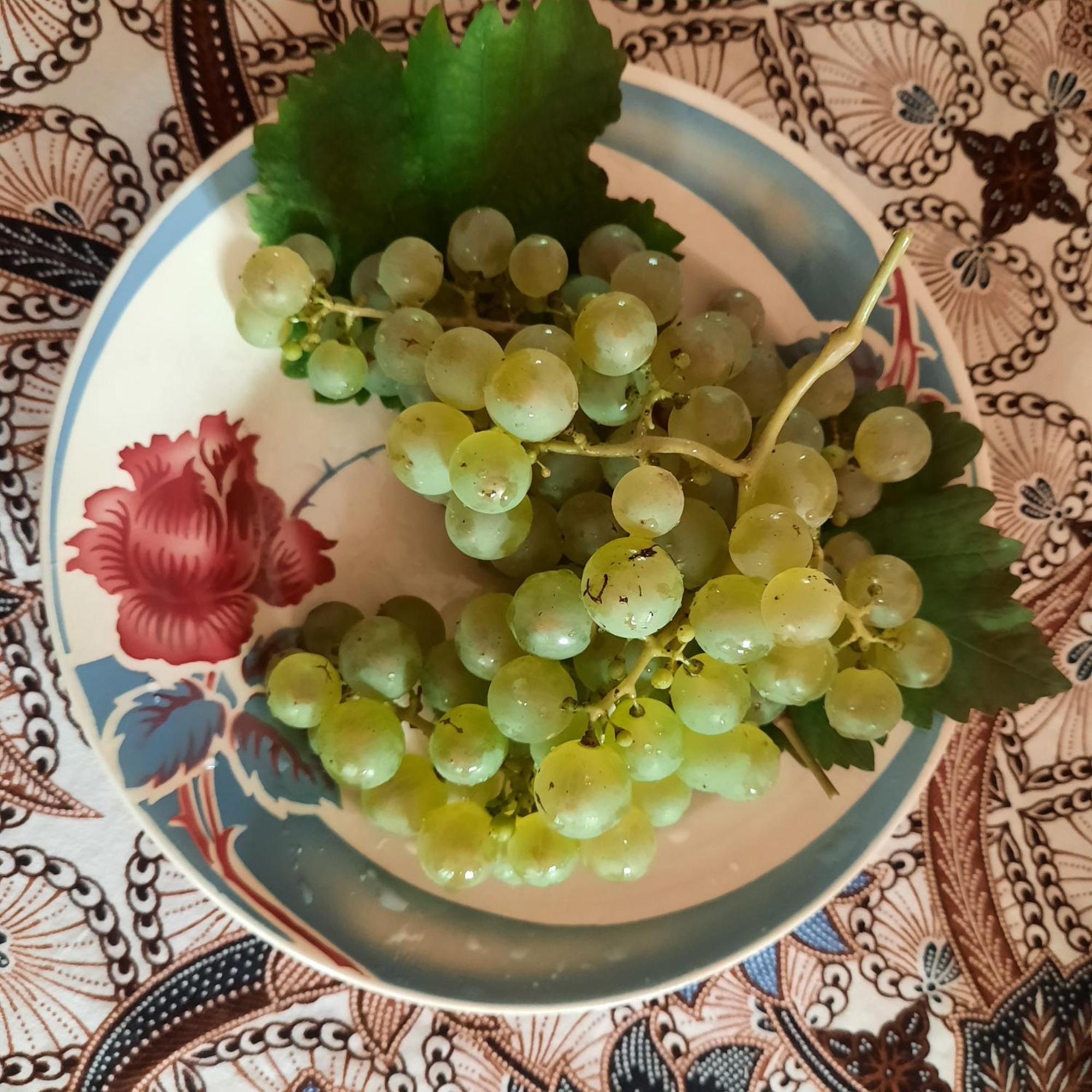 Maison d'hôtes La Renardière Reichshoffen Esterno foto