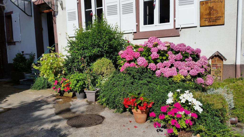 Maison d'hôtes La Renardière Reichshoffen Esterno foto